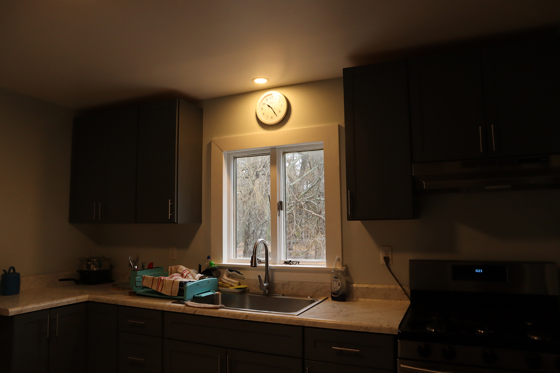 Project Details